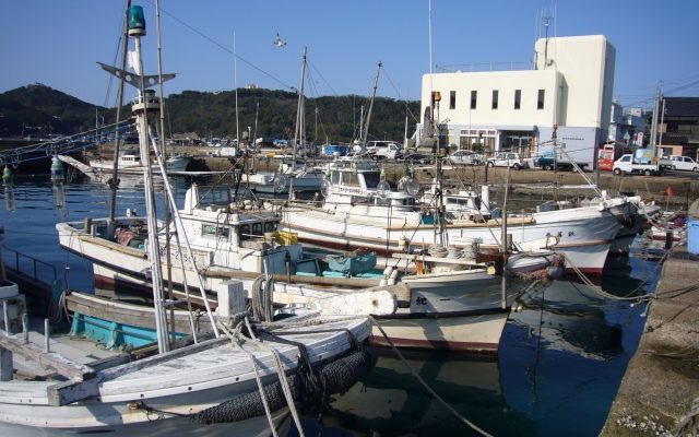 日中の港に停泊している漁船